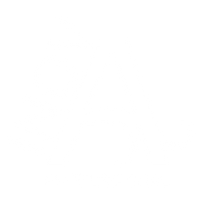Inova Professional logo