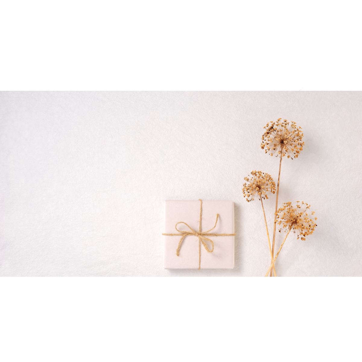 Gift Guide for All Things Beauty