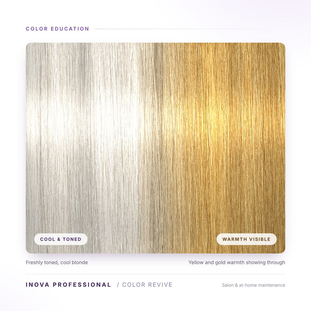 Blonde hair shown from freshly toned cool blonde on the left to visible yellow and gold brassiness on the right, illustrating how warmth becomes visible as toner fades.