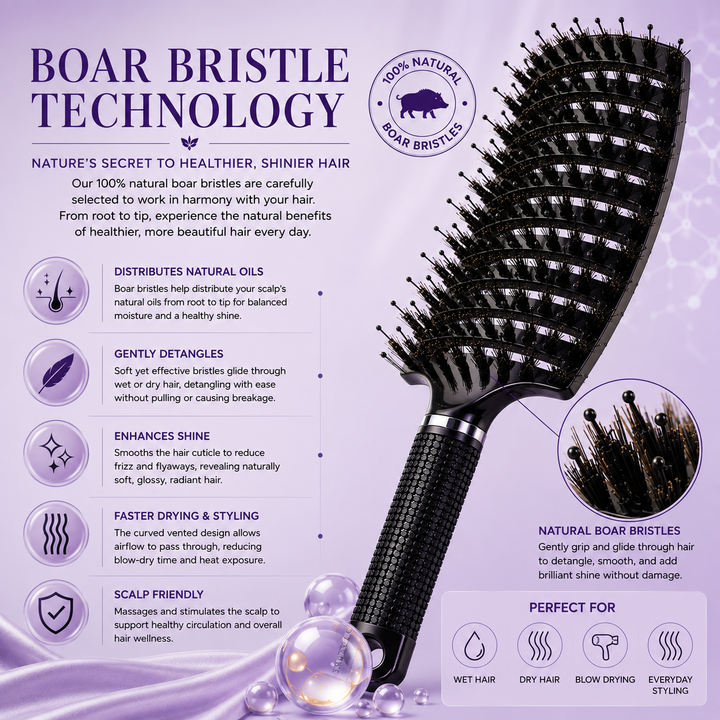 Inova Professional Boar Bristle Hair Brush technology and benefits image highlighting 100% natural boar bristles and a curved vented design that gently detangles wet and dry hair, distributes natural scalp oils from root to tip, reduces frizz and static, enhances natural shine, promotes healthier-looking hair, massages the scalp, and allows faster blow-drying with improved airflow for professional styling results.